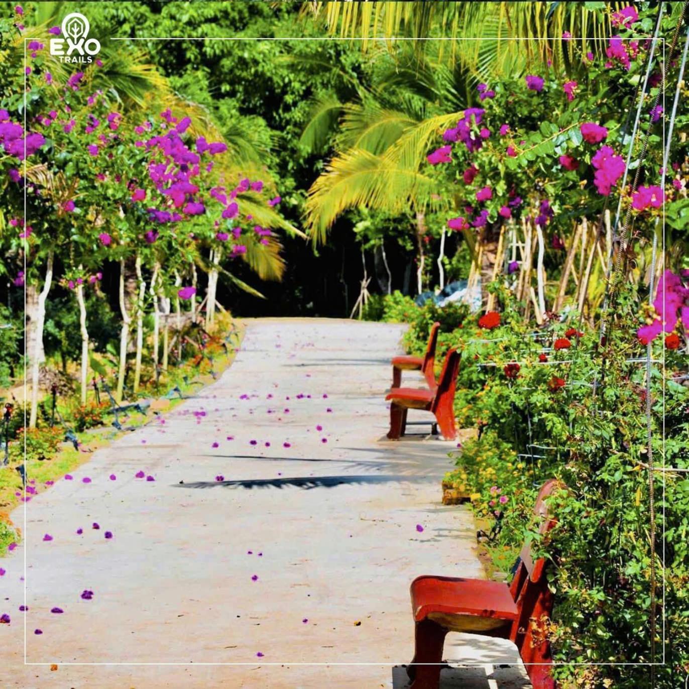 Phu Dien Homestay Cat Tien Εξωτερικό φωτογραφία